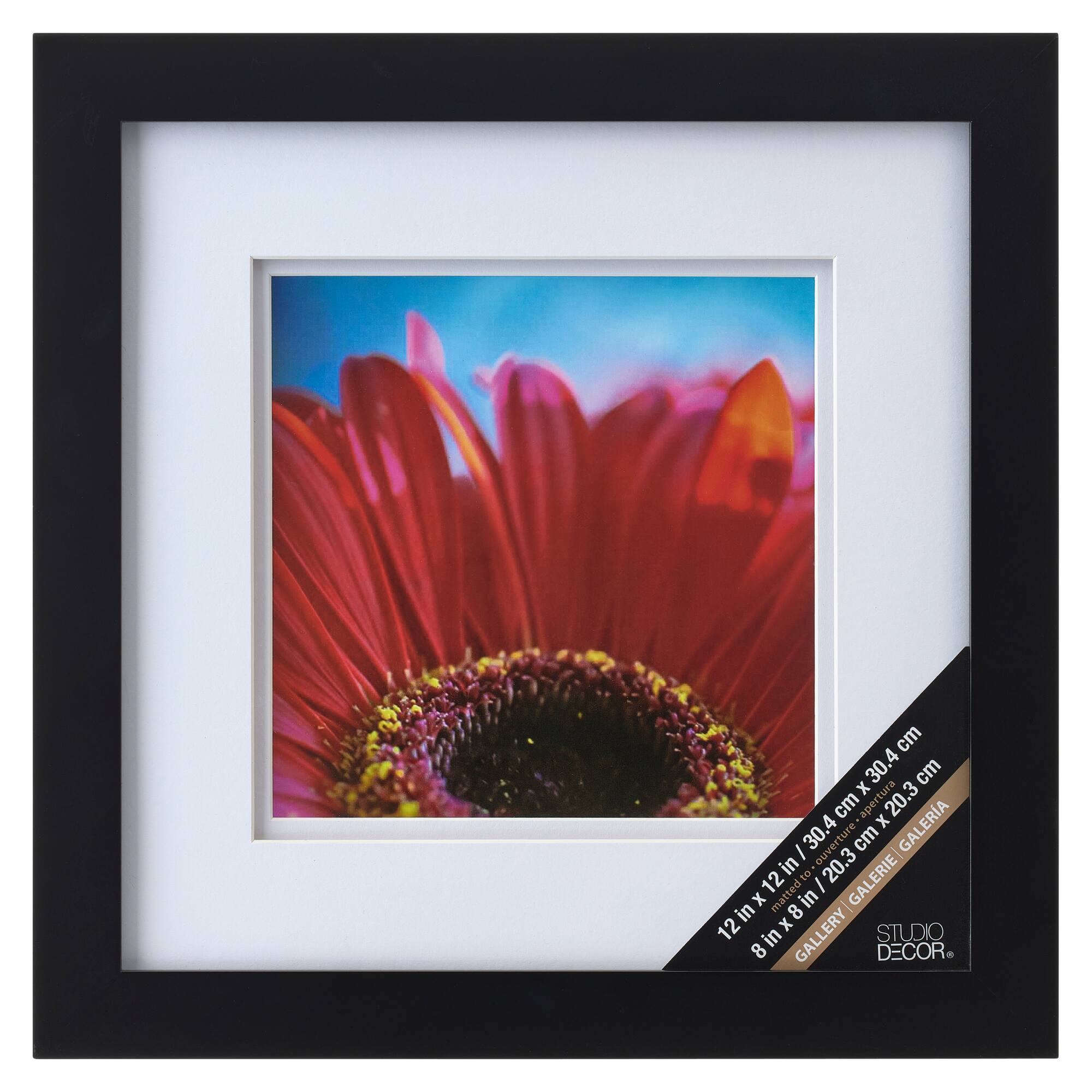 Gallery Square Wall Frame with Double Mat by Studio Décor